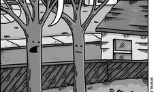 脑洞漫画,漫画中的奇幻世界与创意无限